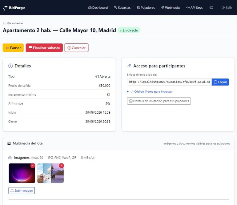 Detalle de la subasta con imágenes y documentos del lote subidos
