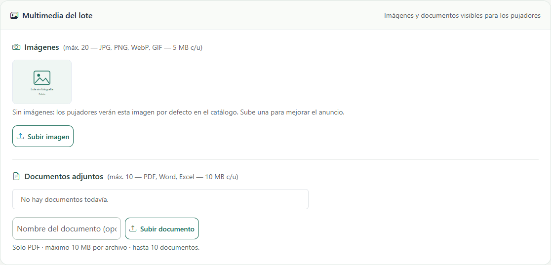 Panel del lote para añadir imágenes y documentos
